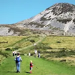 Wonderful Setting