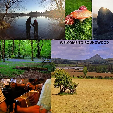 Apartamento Wonderful Setting Wicklow