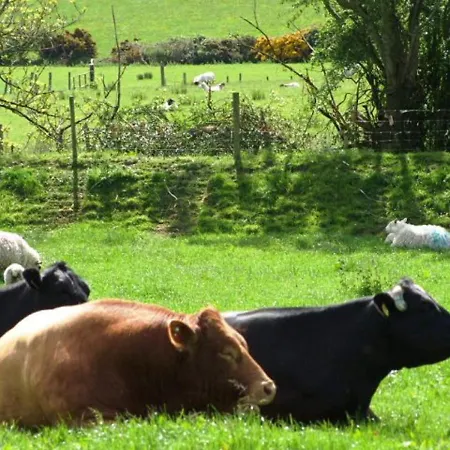 Wonderful Setting Appartement *