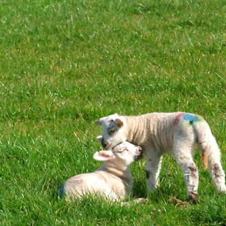 Wonderful Setting Apartamento *